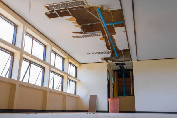 Best Fire Damage Restoration  in Anna, TX
