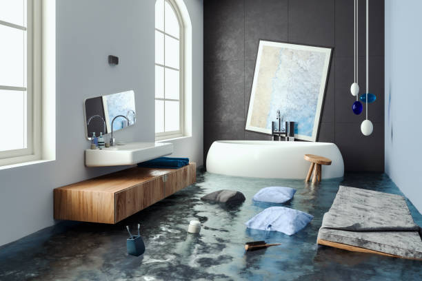 Best Local water damage restoration  in Anna, TX