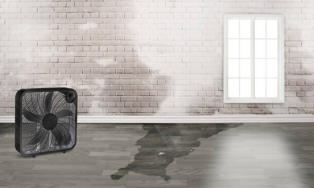  Anna, TX Water damage restoration Pros