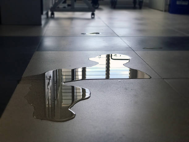Best Professional water damage repair  in Anna, TX