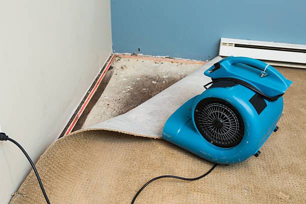 Best Carpet water damage restoration  in Anna, TX